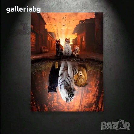 Красив плакат, постер животни 