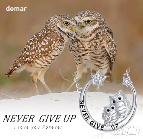 KINGWHYTE Дамско сребърно колие с две сови и надпис Never give up, снимка 5 - Колиета, медальони, синджири - 44742385