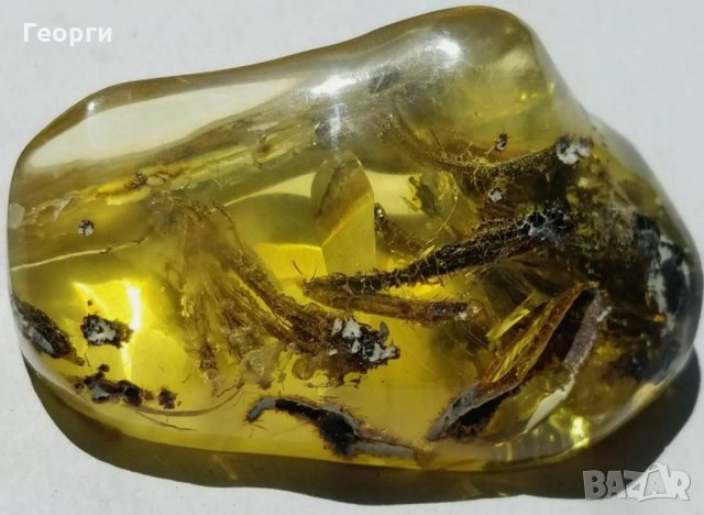 Уникално парче Балтийски кехлибар с отлично съхранени фосили, снимка 10 - Други ценни предмети - 34014656