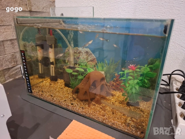 Аквариуми 4 броя, снимка 6 - Аквариуми - 54361578