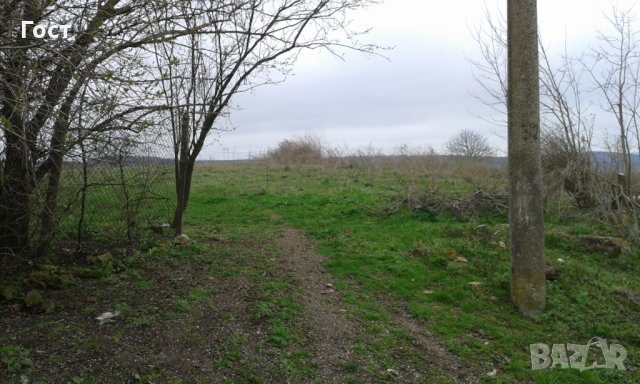 Къща с. Ведрина  с двор 6.5 дка , снимка 5 - Къщи - 30438074