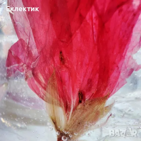 Стъклени свещници /преспапиета с хербарий, снимка 8 - Декорация за дома - 50174551