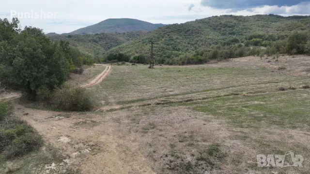 Земеделска земя общ. Струмяни, с. Палат, снимка 10 - Земеделска земя - 46637268