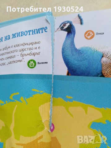 Колекционерски албум на Билла, снимка 2 - Колекции - 31797251