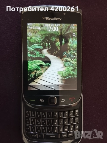Blackberry 9800 Слайд 