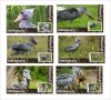 Чисти блокове Фауна Птици Китоглава чапла 2020 от Тонго