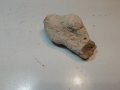 Камък вкаменелост , снимка 1 - Антикварни и старинни предмети - 42708231