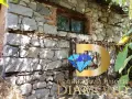 Едноетажна къща в село Брягово, общ. Първомай, снимка 7