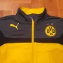 Мъжко горнище Пума - Борусия Дортмунд - Puma - Borussia Dortmund , снимка 2