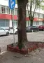 Заведение под наем на ъгъла на ул. „Тунджа“ и „Лайош Кошут“, снимка 4