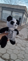 Ръчно плетена панда , снимка 1 - Плюшени играчки - 44596153