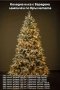 Коледна елха, снимка 2