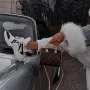 Louis Vuitton мини чанта, снимка 4