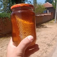Пчелен мед,пити с мед   - реколта 2023, снимка 8 - Пчелни продукти - 18858767