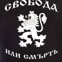 Нов мъжки национален суичър с дигитален печат Свобода или Смърт, България, снимка 12 - Суичъри - 30928406