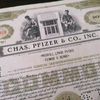 Сертификат за притежание на 100 акции (САЩ) | Chas. Pfizer & Co. Inc. | 1954г., снимка 2 - Други ценни предмети - 29149819