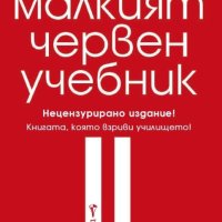 Малкият червен учебник Сьорен Хансен, Йеспер Йенсен, снимка 1 - Художествена литература - 42864381