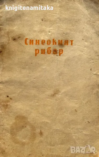 Синеокият рибар - Георги Мишев, снимка 1