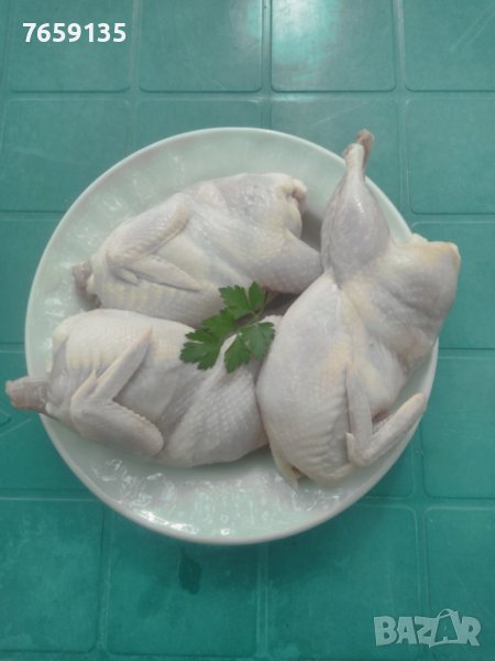 Пъдпъдъци, снимка 1