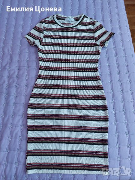 свежарска рокличка, снимка 1