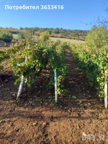 Продава се имот, снимка 1