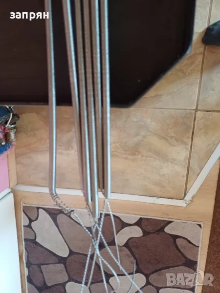 реотани, снимка 1