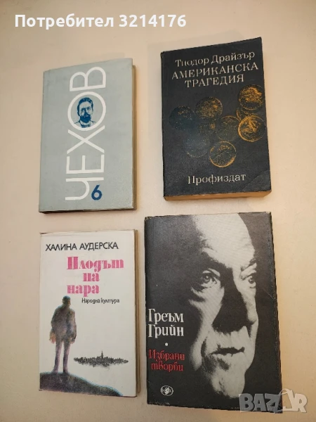 Американска трагедия - Теодор Драйзер, снимка 1