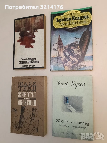 Муха в ковчега - Ърскин Колдуел, снимка 1