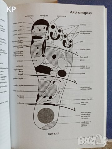  Книги за обучение по масаж и рефлексология , снимка 2 - Специализирана литература - 42028182