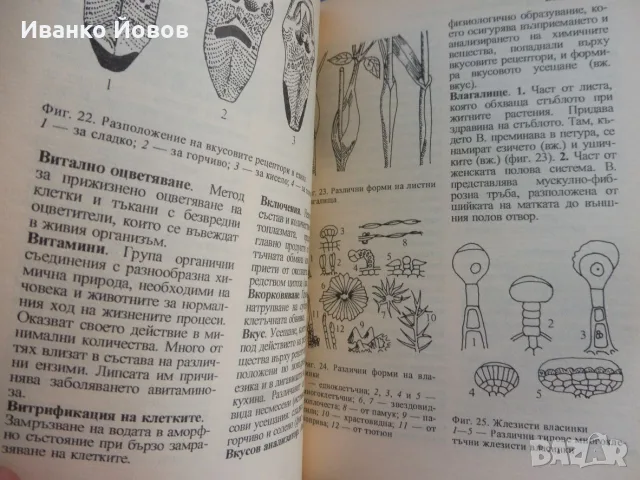 Илюстрован речник по биология, Иван Москов, Снежана Томова, снимка 5 - Учебници, учебни тетрадки - 55748707