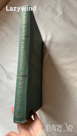 Книга-албум руска живопис 19-ти век, снимка 10 - Антикварни и старинни предмети - 47457477