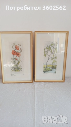 две офортни графики - ръчно оцветени , подписани