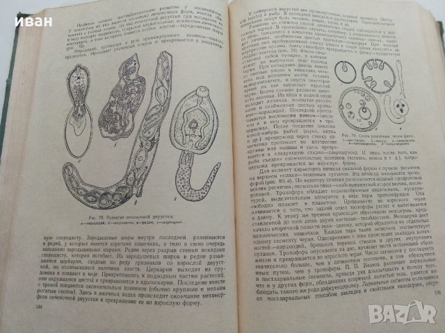 Общая Биология - В.Маховко,П.Макаров,К.Кострюкова - 1950 г., снимка 6 - Специализирана литература - 30444444