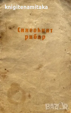 Синеокият рибар - Георги Мишев, снимка 1