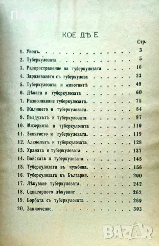 Туберкулозата: Същность, заразяване, разпространение, предпазване, лекуване Хар. Нейчевъ /1920/, снимка 2 - Антикварни и старинни предмети - 56162694