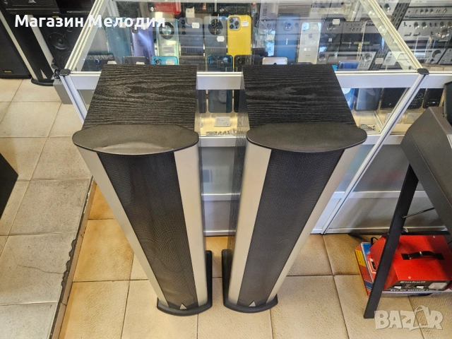 Тонколони Bohlender Graebener Radia X3 – Екзотични рибонни тонколони, (Налични 2 комплекта), снимка 6 - Тонколони - 54266732