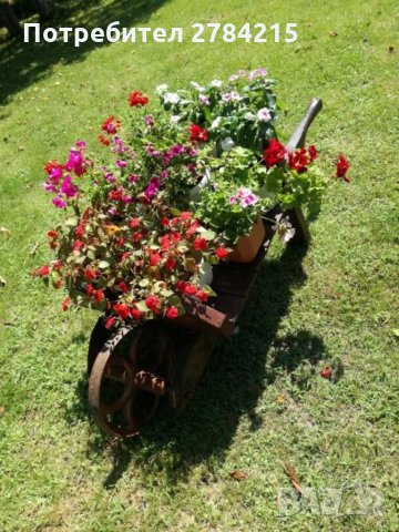 Почистване на дворове, тавани и мазета и извозване. , снимка 3 - Хамалски услуги - 31597921