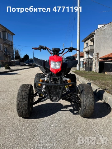 Bashan 250 кубика