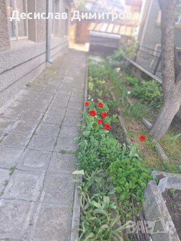 Етаж от къща, снимка 16 - Етаж от къща - 54345806