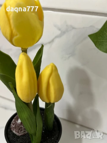 Лалета , снимка 3 - Декорация за дома - 50814177