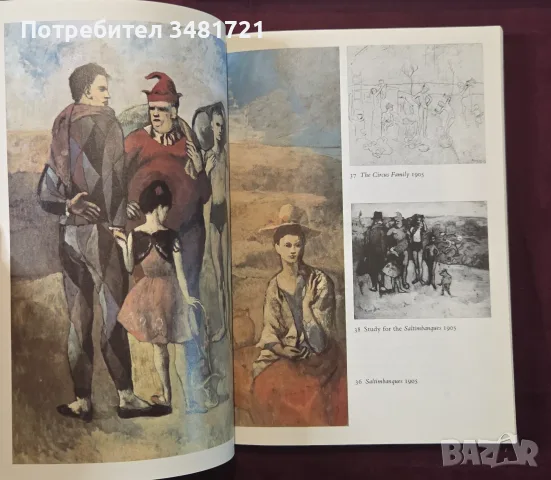 Пикасо - живот и творби / Picasso, снимка 8 - Изкуство, музика, кино и фотография - 55964107