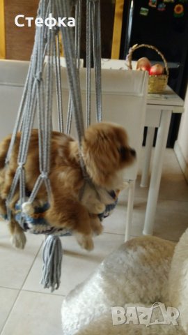 Люлка за домашни любимци