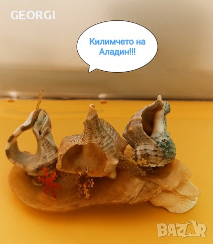 Фантазии, ръчна изработка с морски раковини, снимка 8 - Ръчно изработени сувенири - 42314530