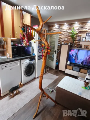 Продавам ръчно правена кацалка., снимка 2 - За птици - 56005695