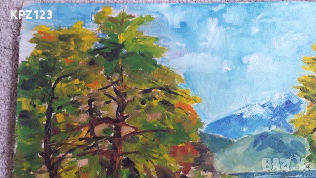 КАРТИНА  ПЕЙЗАЖ 1977 год.(маслени бои) / БАЛУШ БАЛУШЕВ, снимка 3 - Картини - 29092113