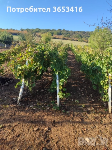 Продава се имот, снимка 1