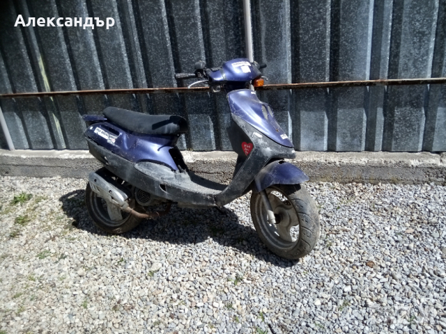 Адли Кат. Adli cat.