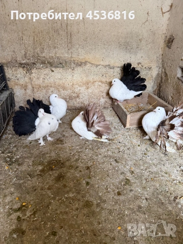 Продавам фенерлии