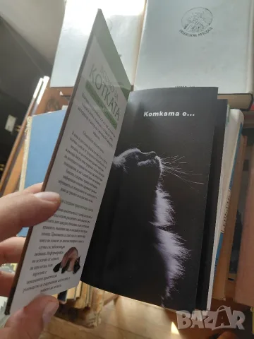 Всичко за котката, снимка 2 - Специализирана литература - 56453997