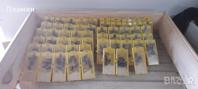Пчелни отводки лицензиран производител (биологични и конвенционални), снимка 3 - За пчели - 44456579